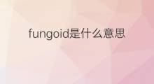 fungoid是什么意思 fungoid的中文翻译、读音、例句