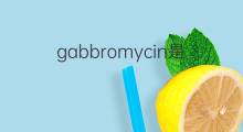 gabbromycin是什么意思 gabbromycin的中文翻译、读音、例句