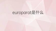 europarat是什么意思 europarat的中文翻译、读音、例句