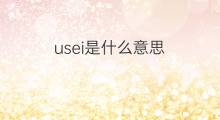 usei是什么意思 usei的中文翻译、读音、例句