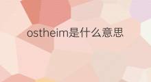 ostheim是什么意思 ostheim的中文翻译、读音、例句