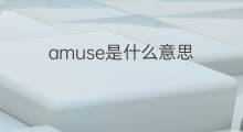 amuse是什么意思 amuse的中文翻译、读音、例句