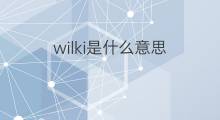 wilki是什么意思 wilki的中文翻译、读音、例句