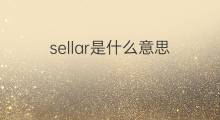 sellar是什么意思 sellar的中文翻译、读音、例句