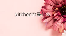 kitchenet是什么意思 kitchenet的中文翻译、读音、例句