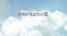 interruptor是什么意思 interruptor的中文翻译、读音、例句