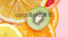 caras是什么意思 caras的中文翻译、读音、例句