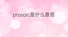 prosaic是什么意思 prosaic的中文翻译、读音、例句
