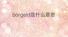 bargeld是什么意思 bargeld的中文翻译、读音、例句