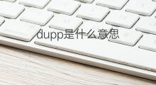 dupp是什么意思 dupp的中文翻译、读音、例句
