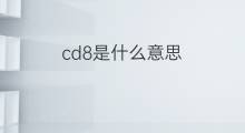 cd8是什么意思 cd8的中文翻译、读音、例句