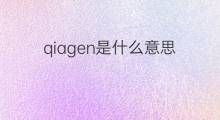 qiagen是什么意思 qiagen的中文翻译、读音、例句