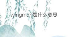 wingman是什么意思 wingman的中文翻译、读音、例句
