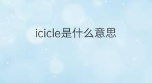 icicle是什么意思 icicle的中文翻译、读音、例句
