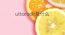 uttaradit是什么意思 uttaradit的中文翻译、读音、例句
