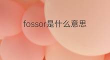 fossor是什么意思 fossor的中文翻译、读音、例句