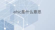 ehic是什么意思 ehic的中文翻译、读音、例句