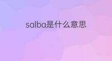 salba是什么意思 salba的中文翻译、读音、例句