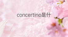 concertino是什么意思 concertino的中文翻译、读音、例句