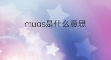 muas是什么意思 muas的中文翻译、读音、例句
