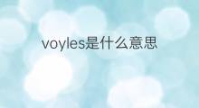 voyles是什么意思 voyles的中文翻译、读音、例句