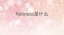 fieriness是什么意思 fieriness的中文翻译、读音、例句