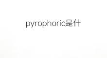 pyrophoric是什么意思 pyrophoric的中文翻译、读音、例句