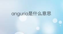 anguria是什么意思 anguria的中文翻译、读音、例句