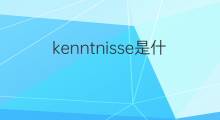 kenntnisse是什么意思 kenntnisse的中文翻译、读音、例句