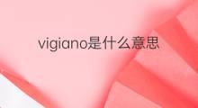 vigiano是什么意思 vigiano的中文翻译、读音、例句
