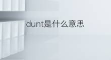 dunt是什么意思 dunt的中文翻译、读音、例句
