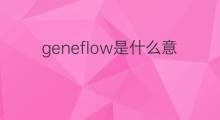 geneflow是什么意思 geneflow的中文翻译、读音、例句