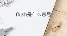 flush是什么意思 flush的中文翻译、读音、例句