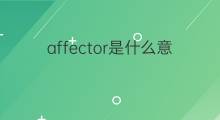 affector是什么意思 affector的中文翻译、读音、例句