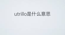 utrillo是什么意思 utrillo的中文翻译、读音、例句