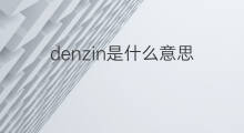 denzin是什么意思 denzin的中文翻译、读音、例句