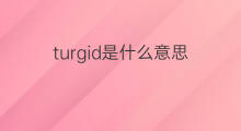 turgid是什么意思 turgid的中文翻译、读音、例句