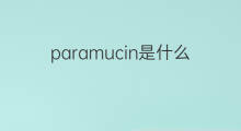 paramucin是什么意思 paramucin的中文翻译、读音、例句
