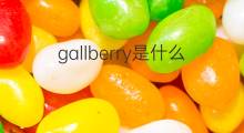 gallberry是什么意思 gallberry的中文翻译、读音、例句