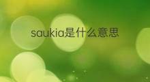 saukia是什么意思 saukia的中文翻译、读音、例句