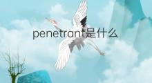 penetrant是什么意思 penetrant的中文翻译、读音、例句