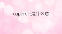 caporale是什么意思 caporale的中文翻译、读音、例句