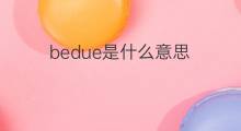 bedue是什么意思 bedue的中文翻译、读音、例句