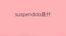 suspendida是什么意思 suspendida的中文翻译、读音、例句