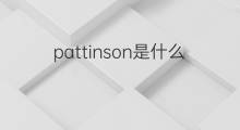 pattinson是什么意思 英文名pattinson的翻译、发音、来源