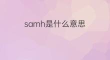 samh是什么意思 samh的中文翻译、读音、例句