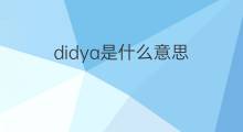 didya是什么意思 didya的中文翻译、读音、例句