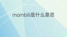 mambili是什么意思 mambili的中文翻译、读音、例句