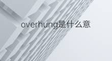 overhung是什么意思 overhung的中文翻译、读音、例句