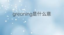 greaning是什么意思 greaning的中文翻译、读音、例句